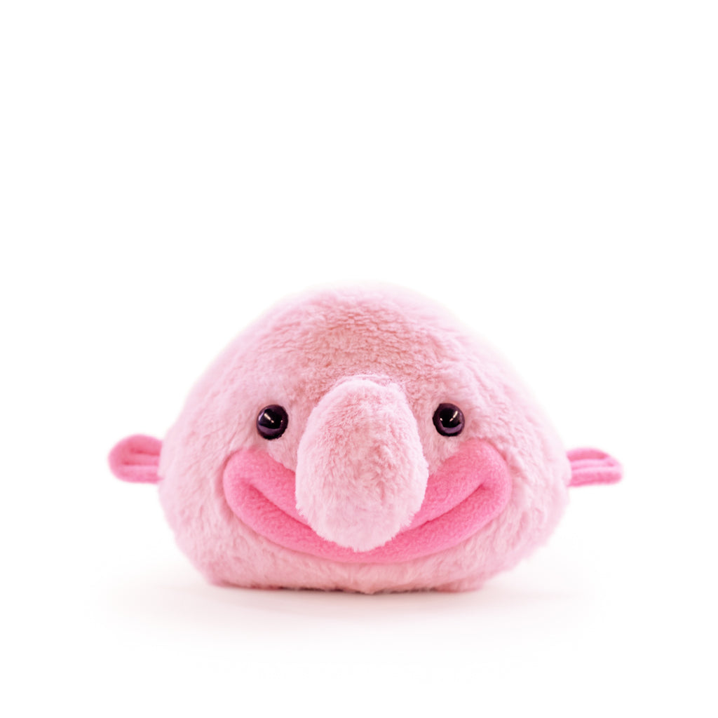 Blobfish mini – Hashtag Collectibles